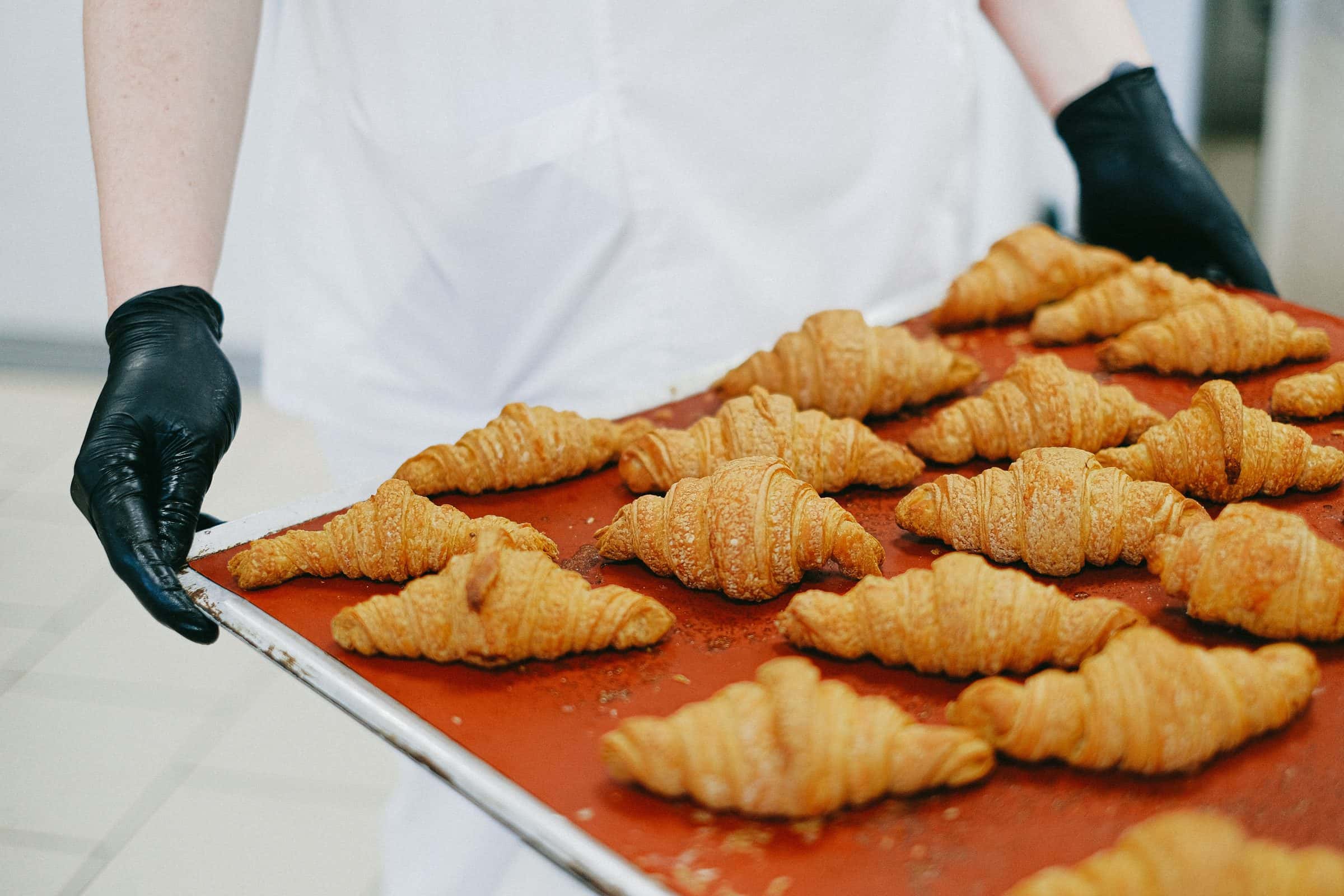 Een bakplaat vol verse croissants uit de oven, gedragen door een bakker