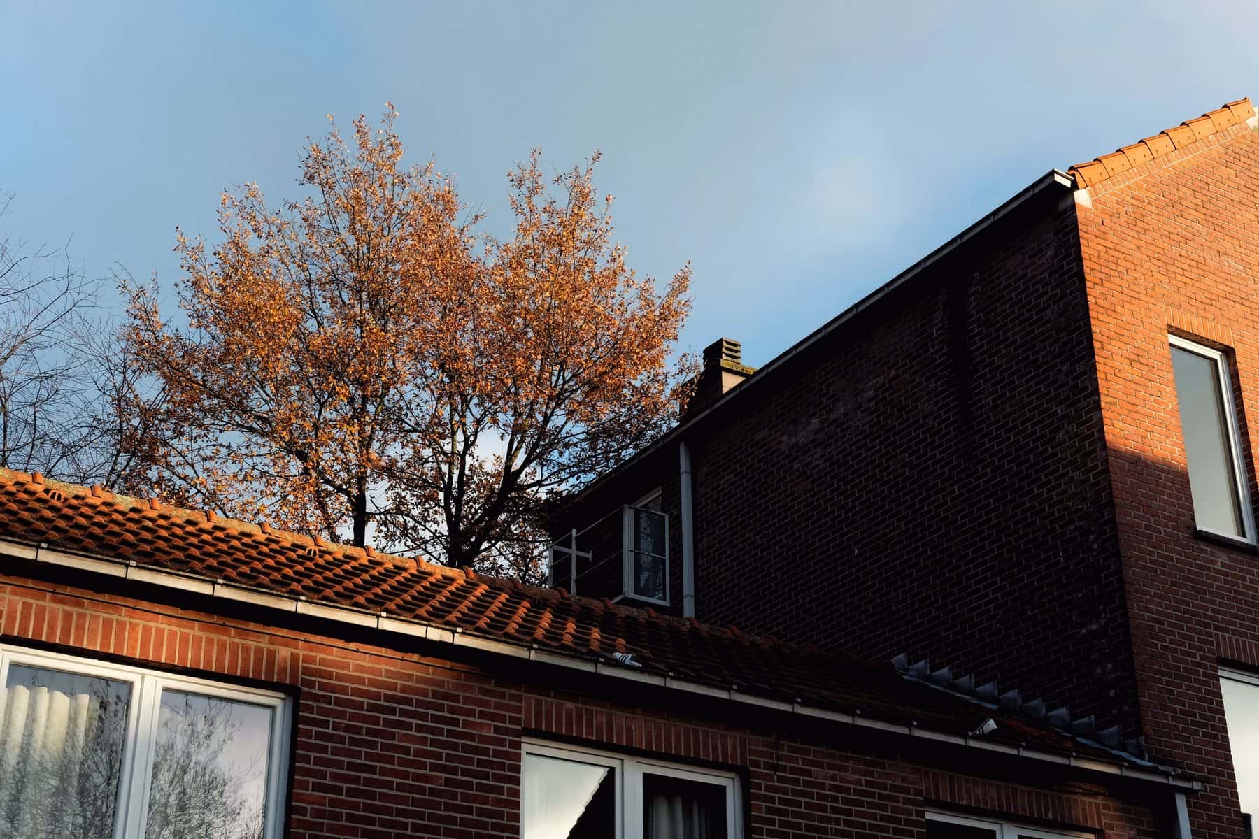 Bakstenen woningen met een rood pannendak in de herfstzon